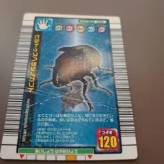 甲虫王者ムシキング ヒルトゥスヘラツノカブト