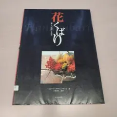 Item thumbnail for item 62e07b59-8174-4dcf-8c9b-10a796b1bff4