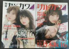 Item thumbnail for item b042b8d3-5845-48cd-8d07-901f31768344