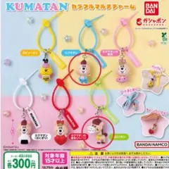 KUMATAN カラフルマルチチャーム 2種セット