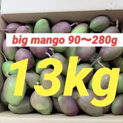 2026年最新】BIGMANGOの人気アイテム - メルカリ