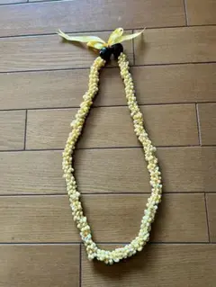 Item thumbnail for item 0efad374-62ad-410d-bc59-75e29aedbac4