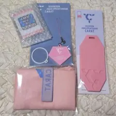 SEVENTEEN セブンティーン CARAT FC 更新特典 入会特典