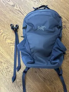 2025年最新】アークテリクス マンティス32 ネイビーの人気