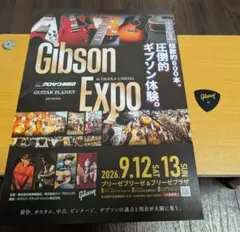 Gibson Expo ギター　ピック