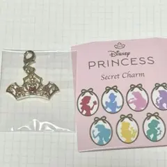 ディズニーストア プリンセス シークレットチャーム ティアラ オーロラ姫