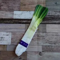 ハンドメイド ネギポーチ 匿名配送 野菜 ねぎ 送料込み