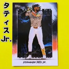 Item thumbnail for item bb6e3225-6128-424b-ba3f-d154b942282d