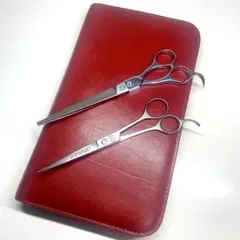 Item thumbnail for item 8b4a2f37-6b18-42d0-b677-6f527d946288