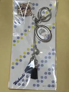 テニスの王子様 テニプリ 日吉 若 氷帝 キーリングチャーム AUTUMN