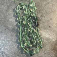 るるる♪様 リクエスト 2点 まとめ商品