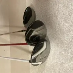 Item thumbnail for item 929fba4c-923f-4ee1-bf22-8d74b66431ec