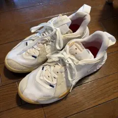 ナイキコート エア ズーム ヴェイパー 9.5 ツアー レザー メンズ 27
