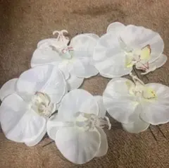 胡蝶蘭　髪飾り　5個セット　和装