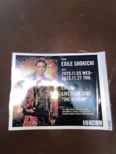EXILE SHOKICHI オリジナルラベル レモンスカッシュ ステッカー