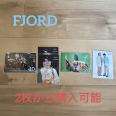 ミセス Mrs. GREEN APPLE フィヨルド FJORD フォトカ