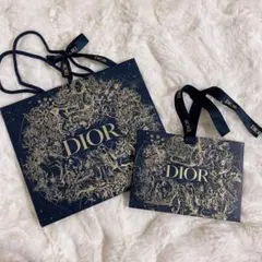 Dior ショップ袋 2枚セット