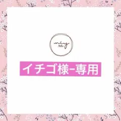 イチゴ様–専用ページ