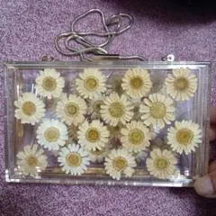 Item thumbnail for item caa94208-81fa-41b9-92ea-160db5315557