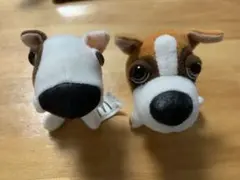 tne dog ハッピーセット 2026年最新】Dog ハッピーセットの人気アイテム - メルカリ