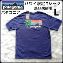 ✨新品未使用✨パタゴニア★ハワイ限定★Tシャツ★ネイビー★タグ付★極美品