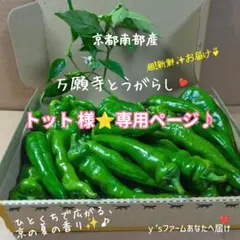 トット様⭐️専用ページ♪のサムネイル