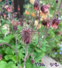 やマルイ様 リクエスト 3点 まとめ商品