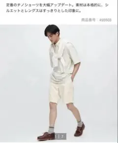 ユニクロ　チノショーツ