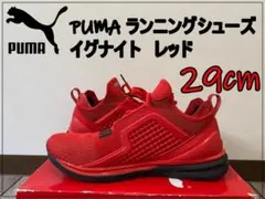 Item thumbnail for item eddbda60-c199-4826-bae9-bccc5e4af0d4