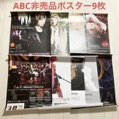 Acid Black Cherry Shangri-la フォトブック - メルカリ