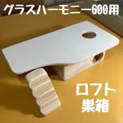 2026年最新】グラスハーモニー600の人気アイテム - メルカリ