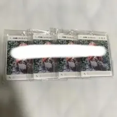 大地葉 声優 Repliveスクラッチ D賞 アクリルキーホルダーA