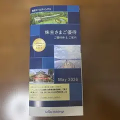 西武ホールディングス 株主優待(1000株以上) 1冊 - メルカリ