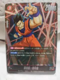 孫悟飯：青年期 SR FB02 ブースターパック『烈火の闘気』 FB02-18