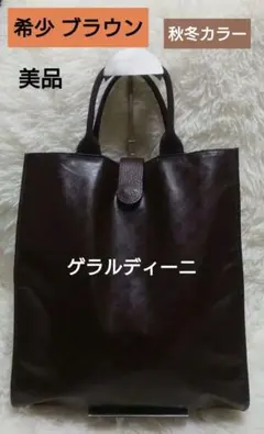 ✨エコバック✨ ゲラルディーニ バッグ　SOFTY 軽量 ブラウン