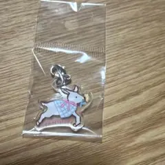 紙博 in 東京 vol.13 入場特典 チャーム