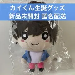 超特急 カイ 生誕グッズ ちびカイ ぬいぐるみ 小笠原海 25th - メルカリ