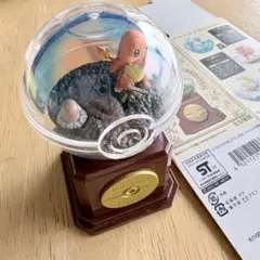 ポケモン　テラリウムコレクション　ヒトカゲ&ディグダ