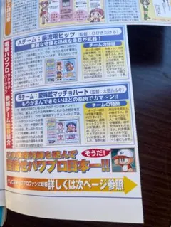 美品〜極美品 ポケモンカード あばれる君 320/SM-P 当選通知書付