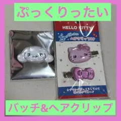 サンリオ ぷっくりったいバッチ&ヘアクリップ キティ シナモロール