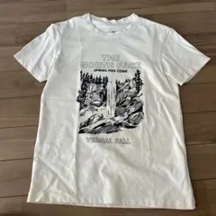 THE NORTH FACE Vernal Fall Tシャツ M ホワイト