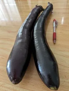 はるちゃん様 リクエスト 3点 まとめ商品