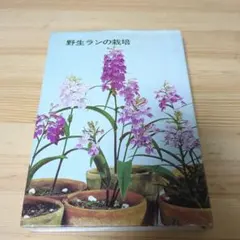 Item thumbnail for item c391f812-5c46-4c46-83e0-bb9349b6aa2f