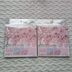 Item thumbnail for item ddd89f0f-a040-4562-ac29-2638287e5503