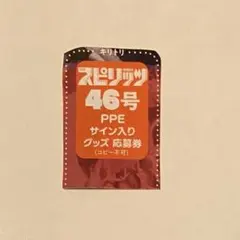 ビッグコミックスピリッツ　えなこ　PPE 応募券