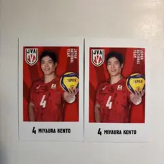 キャラポトレ バレーボール男子日本代表 宮浦健人