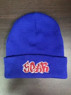 WEGO ロゴビーニー