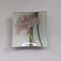 花のイラスト付き四角皿