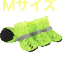 Item thumbnail for item 09d7815d-6b53-4fd9-bf43-95052ff4f849