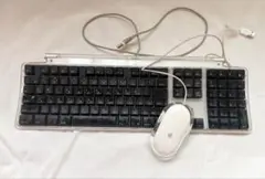 Apple USB Keyboard & Mouse Set